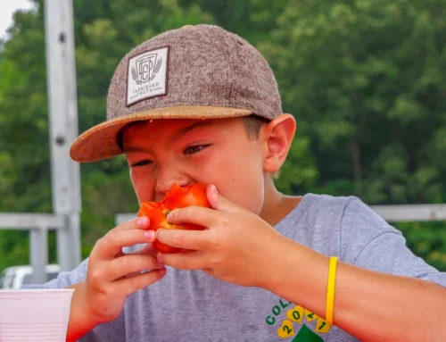 It’s a Southern Thing: The Heirloom Tomato Tells the Story of Hanover County
