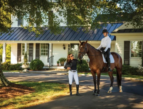 Virginia Living: A Haven Among Horses